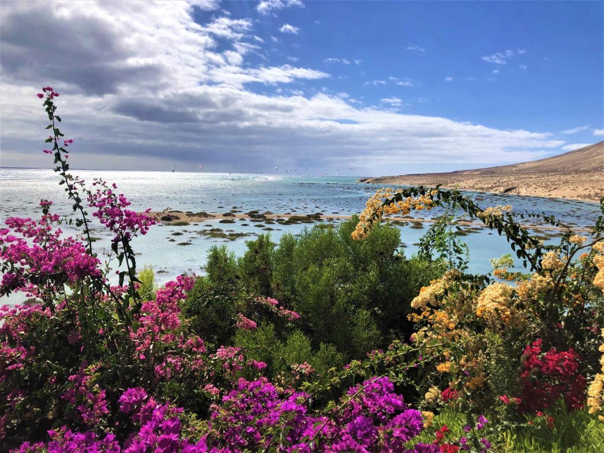 Jardin De Costa Calma Lejlighed Eksteriør billede